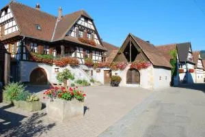Gîte Vignoble de Cléebourg - Soultz-sous-Forêts