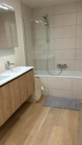 Luxurious apartment in city center