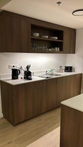 Luxurious apartment in city center