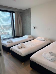 Luxurious apartment in city center