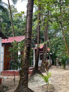 Coconut Grove Palolem
