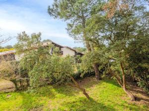 Apartment Pyrénées by Interhome