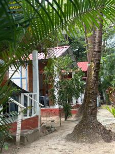 Coconut Grove Palolem