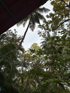 Coconut Grove Palolem