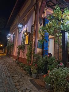 Casa Cositorarului Boutique Pension