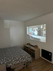 Appartements La Vue du Rhone : photos des chambres