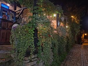 Casa Cositorarului Boutique Pension