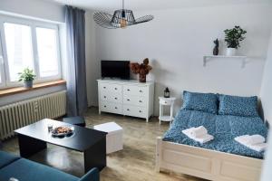 Sunny apartment Trutnov