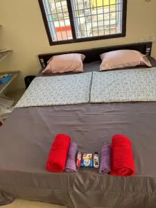 Sels Home 2 single bed, bathroom, lift, third floor, bike park - Manali