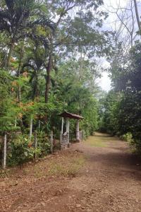 Tropical Forest Adventure Near Arenal Volcano
