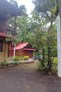 Tropical Forest Adventure Near Arenal Volcano