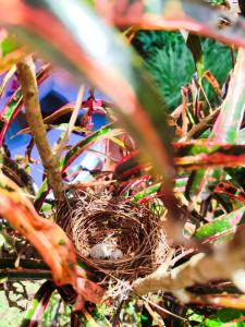 Tropical Forest Adventure Near Arenal Volcano