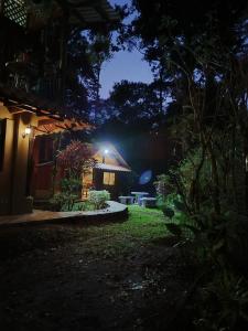 Tropical Forest Adventure Near Arenal Volcano