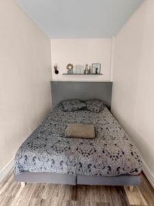 Bel Appartement Parisien