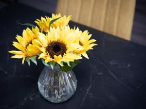 Apartment Harbour Nights Deluxe 7F by Interhome