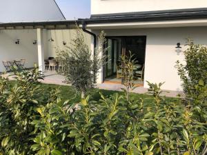 Tanúhegyek Káptalantóti