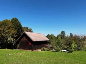 Jazvenik Hill House - Pračno