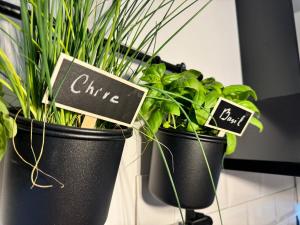 Studio apartman Iman