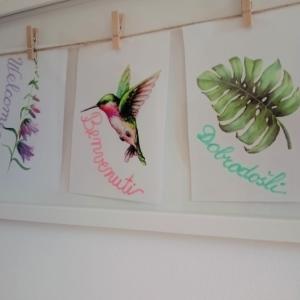 Apartments & Wellness Dalija with Massages studio 