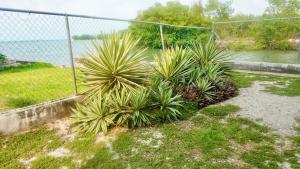 SeaBreeze Sea View Studio with Balcony & Pool, 2nd Floor