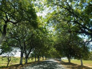Romantic Seaside Casita w Pool, AC, Fire Sunsets