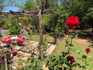 Rancho Ña Ignacia Nueva Colombia