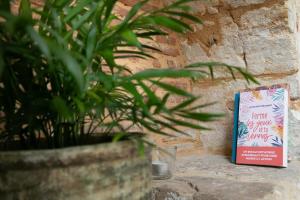 Appartements Escapade de Charme T2 Centre Historique Bergerac : photos des chambres