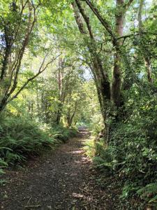 Lower Hearson Farm Cottages, animal experiences, seasonal outdoor heated pool, games barn, free fast WiFi, free parking