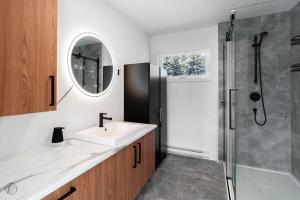 Le Boisé - spa - billard - Dogfriendly