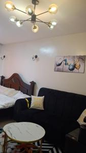 Homely studio, Kileleshwa