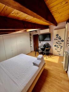 Charming attic in the center of Milan!