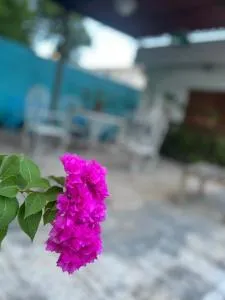 Don Alfonso hotel y hostal - Chichén-Itzá