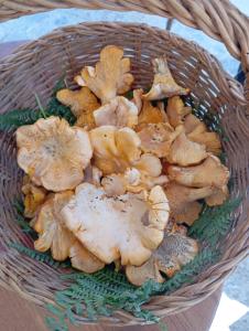 Hotel Ristorante Sturno