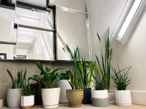 Gallery Suite in Art Tower