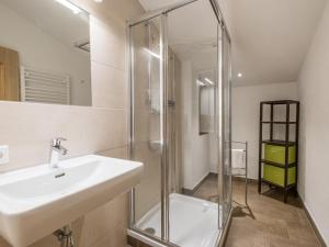 Alpensteinbock Saalbach C