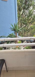 Ocean flat with view relax