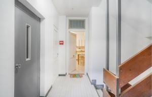 Pet Friendly Apartment