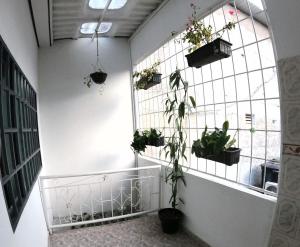 Apartamento Familiar, Brrio Olimpico!