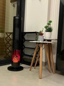 elegant mona studio