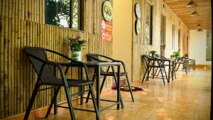 Ali Garden Homestay Trang An Ninh Bình