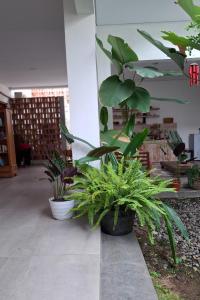 Bring In House Yogyakarta