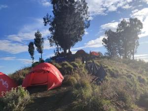 2Days Shared Camping At Mount Rinjani