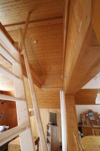 Ferienwohnung Seeblick Nr 3, 2 Zi-Bärental, Feldberg