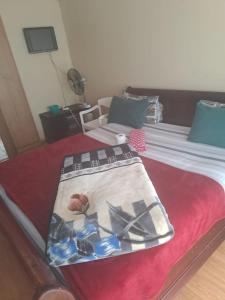 Matte guest house in Secunda