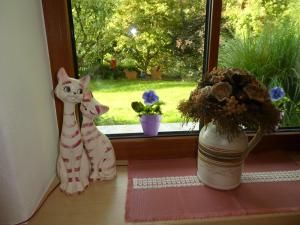 Öko-Ferienwohnung im Landhaus Hübner