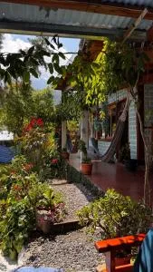 Nuevo Sol - San Juan La Laguna