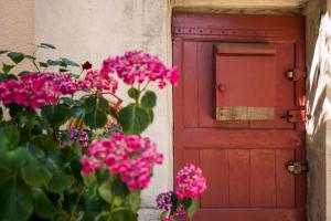 Appartements Maison Eugene centre-ville piscine jardin fibre garage : photos des chambres