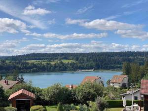 Appartements Le studio du lac Saint-Point : photos des chambres