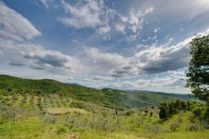 Agriturismo Bindozzino