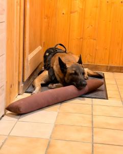 Chalets Chalet Des Charmes : photos des chambres